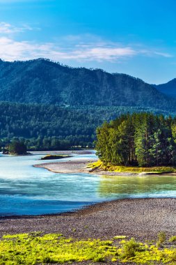Katun Nehri ile yaz manzarası. Chemal, Gorny Altay, Sibirya,