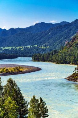 Katun Nehri ile yaz manzarası. Chemal, Gorny Altay, Sibirya,