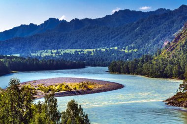 Katun Nehri ile yaz manzarası. Chemal, Gorny Altay, Sibirya,