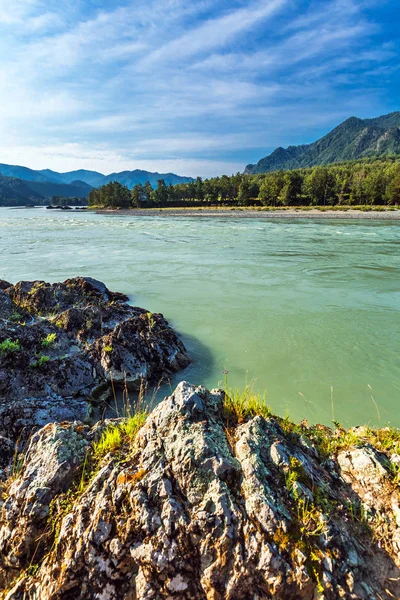 Paisaje de verano con río Katun. Chemal, Gorny Altai, Siberia , — Foto de Stock