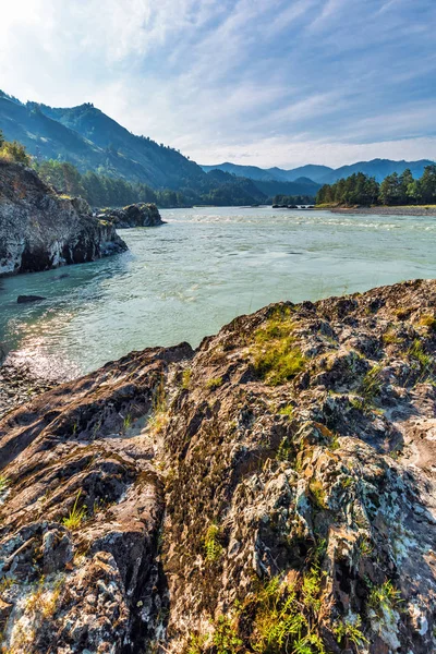 Летний пейзаж с рекой Катунь. Chemal, Горный Алтай, Сибирь , — стоковое фото