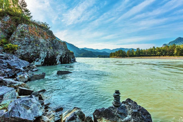 Katun Nehri ile yaz manzarası. Chemal, Gorny Altay, Sibirya,