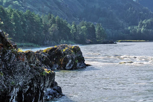 Paisagem de verão com rio Katun. Chemal, Gorny Altai, Sibéria , — Fotografia de Stock