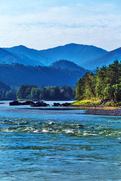 Katun Nehri ile yaz manzarası. Chemal, Gorny Altay, Sibirya,