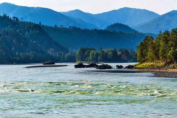 Katun Nehri ile yaz manzarası. Chemal, Gorny Altay, Sibirya,