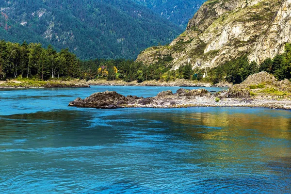 Katun Nehri ile yaz manzarası. Chemal, Gorny Altay, Sibirya,