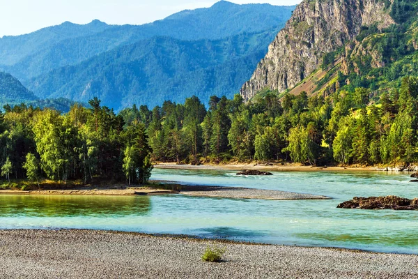 Katun Nehri ile yaz manzarası. Chemal, Gorny Altay, Sibirya,
