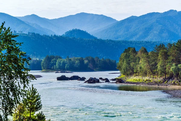 Sommar landskap med katun älv. Chemal, Gorny Altai, Sibirien, — Stockfoto