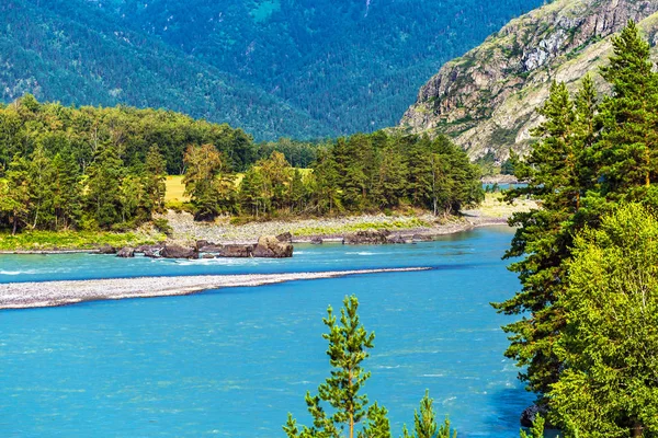 Katun Nehri ile yaz manzarası. Chemal, Gorny Altay, Sibirya,