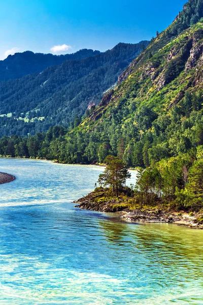 Paisaje de verano con río Katun. Chemal, Gorny Altai, Siberia , — Foto de Stock