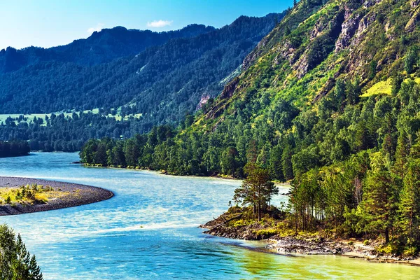 Katun Nehri ile yaz manzarası. Chemal, Gorny Altay, Sibirya,