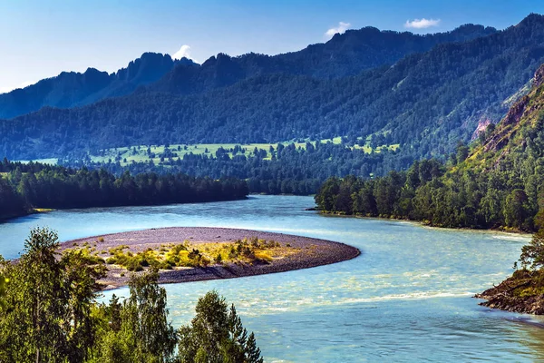 Katun Nehri ile yaz manzarası. Chemal, Gorny Altay, Sibirya,