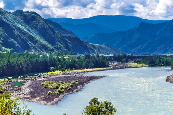 Katun Nehri ile yaz manzarası. Chemal, Gorny Altay, Sibirya,