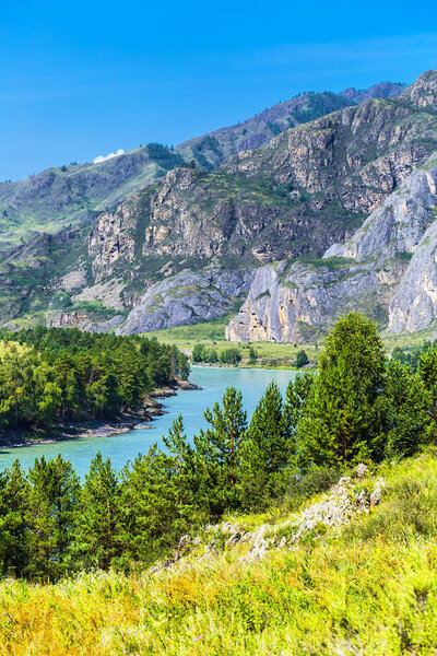 Summer landscape with Katun river. Chemal, Gorny Altai, Siberia,