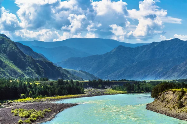 Katun Nehri ile yaz manzarası. Chemal, Gorny Altay, Sibirya,