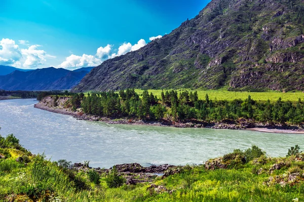 Summer landscape with Katun river. Chemal, Gorny Altai, Siberia, Royalty Free Stock Images