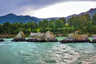 Nehirdeki keskin kayalar. Elekmonar, Gorny Altay, Sibirya, Rusya Federasyonu