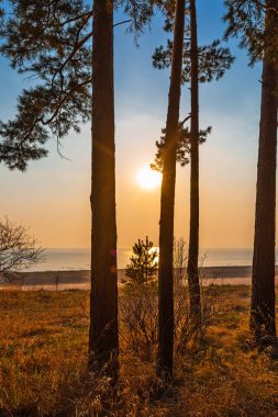 Ob nehri üzerinde gün batımı. Novosibirsk, Rusya Federasyonu