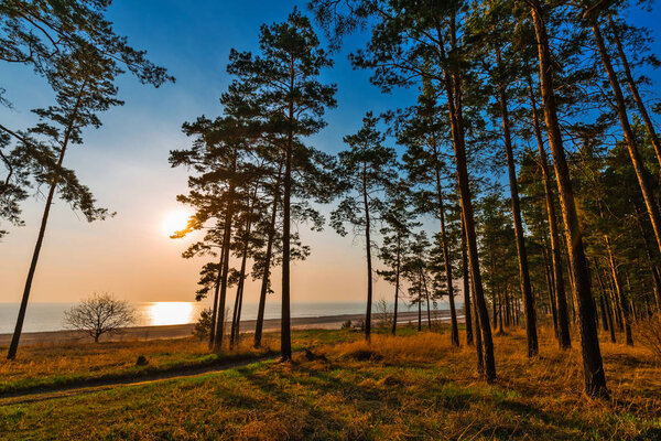 Sunset over the Ob river. Novosibirsk, Russia