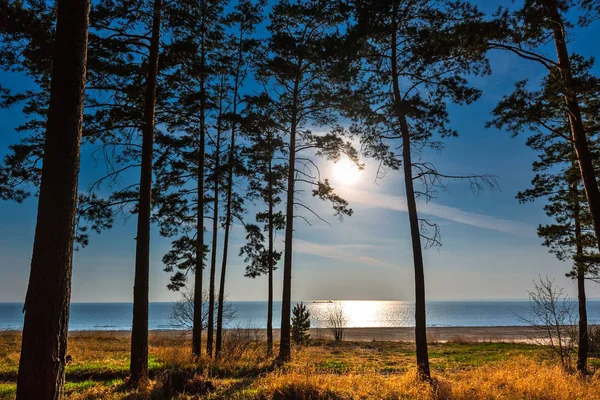 Solnedgång över floden Ob. Novosibirsk, Ryssland — Stockfoto