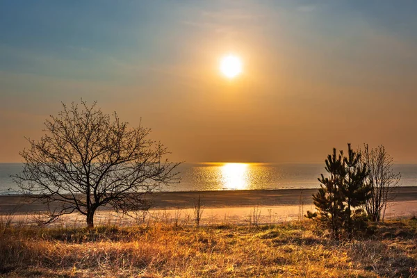 Západ slunce nad řekou ob. Novosibirsku, Ruská federace — Stock fotografie