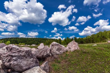 Doğal pembe bilyenin çıkarılması için taş ocağı. Peteni köyü, Maslyaninsky bölgesi, Novosibirsk bölgesi, Batı Sibirya, Rusya