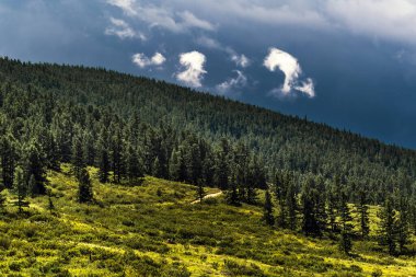 Chulyshman Dağları, Chulyshman Nehri Kanyonu 'nda. Ulagansky Bölgesi, Altai Cumhuriyeti, Rusya