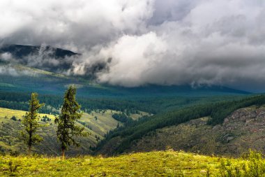 Chulyshman Dağları, Chulyshman Nehri Kanyonu 'nda. Ulagansky Bölgesi, Altai Cumhuriyeti, Rusya