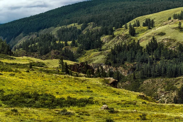 Chulyshman Hochland Chulyshman River Canyon Ulagansky Bezirk Republik Altai Russland — Stockfoto