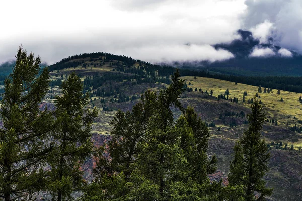 Chulyshman Dağları Chulyshman Nehri Kanyonu Nda Ulagansky Bölgesi Altai Cumhuriyeti — Stok fotoğraf