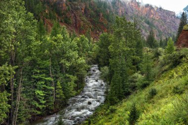 Dağ nehri Chibitka, kozalaklı orman ve dağlarla çevrilidir. Rusya, Güney Sibirya, Altai Cumhuriyeti, Ulagansky Distric