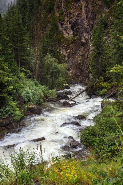 奇比塔卡山河周围环绕着针叶林和高山 俄罗斯 西伯利亚南部 阿尔泰共和国 乌拉甘斯克地区 — 图库照片