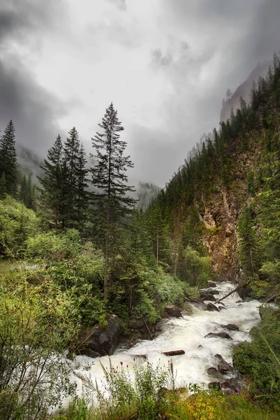 Hegyi Folyó Chibitka Körül Tűlevelű Erdők Hegyek Oroszország Dél Szibéria — Stock Fotó