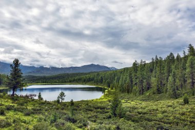 Ulagan geçidinde Dağ Gölü Kidelu Sibirya kozalaklı Taygası ile çevrilidir. Ulagansky Bölgesi, Altai Cumhuriyeti, Güney Sibirya, Rusya