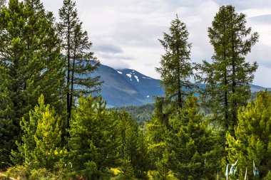 Ulagan geçidinden dağların ve tayganın manzarası. Ulagansky Bölgesi, Altai Cumhuriyeti, Güney Sibirya, Rusya