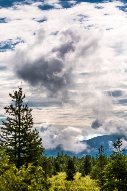 Ulagan geçidinden dağların ve tayganın manzarası. Ulagansky Bölgesi, Altai Cumhuriyeti, Güney Sibirya, Rusya