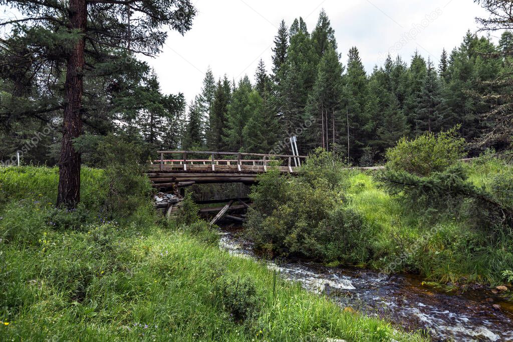 Automobile wooden bridge over the mountain river Kara-Ozek. Ulagansky district, Altai Republic, southern Siberia, Russia