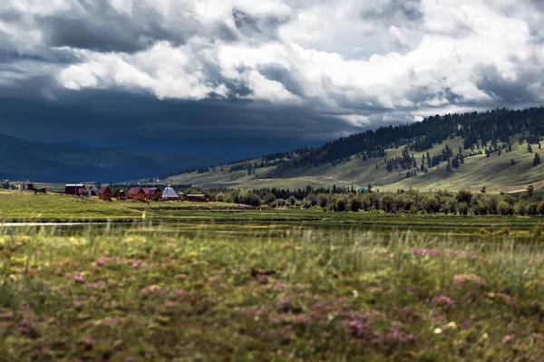 Ulagan Köyü Ulagan Bölgesi Altai Cumhuriyeti Rusya Temmuz 2020 Ulagan — Stok fotoğraf