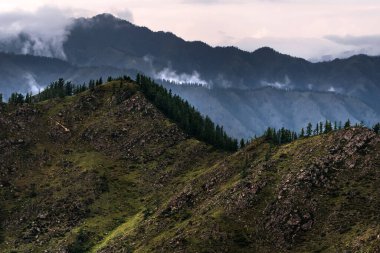 Chike-Taman dağ geçidi, Chui bölgesinden dağların manzarası. Ongudaysky bölgesi, Altai Cumhuriyeti, Güney Sibirya, Rusya