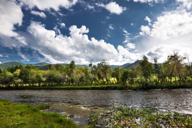 Ursul nehri Tuekta köyü yakınlarındaki Chuiskiy arazisinin yanında akar. Ongudaysky bölgesi, Altai Cumhuriyeti, Güney Sibirya, Rusya
