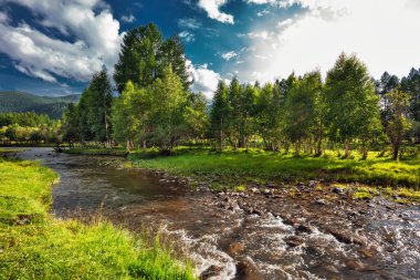 Ursul nehri Tuekta köyü yakınlarındaki Chuiskiy arazisinin yanında akar. Ongudaysky bölgesi, Altai Cumhuriyeti, Güney Sibirya, Rusya