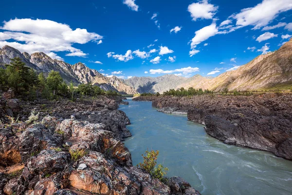 Oroktoysky Köprüsü 'nün bulunduğu yerdeki Katun Nehri manzarası. Chemalsky bölgesi, Altai Cumhuriyeti, Güney Sibirya, Rusya