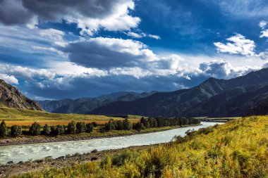 Oroktoysky Köprüsü 'nün bulunduğu yerdeki Katun Nehri manzarası. Chemalsky bölgesi, Altai Cumhuriyeti, Güney Sibirya, Rusya