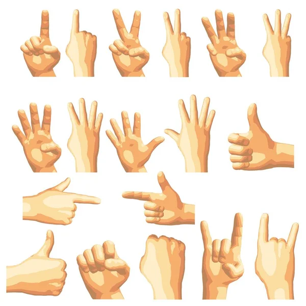 Vector Illustratie Set Van Geïsoleerde Realistische Menselijke Handen Met Verschillende — Stockvector