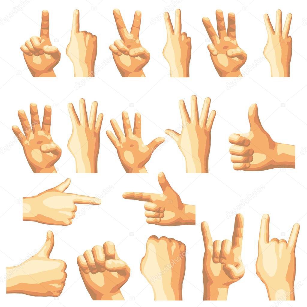 Vector illustration.Set of isolated realistic human hands showing different gestures,signs or numbers,seen from different sides,front and back. Colored in five separate sepia tones, it has a vintage look and can be used for retro style work.