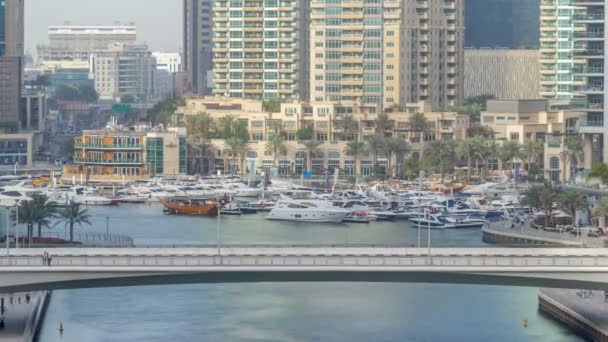 Amazing colorful dubai marina skyline during sunset timelapse — Stock Video