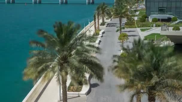 Pasarela en Abu Dhabi timelapse con palmeras — Vídeo de stock