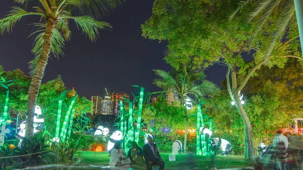 Pandor Och Palmer Nyöppnade Dubai Glöd Trädgård Timelapse Ett Tillstånd — Stockfoto