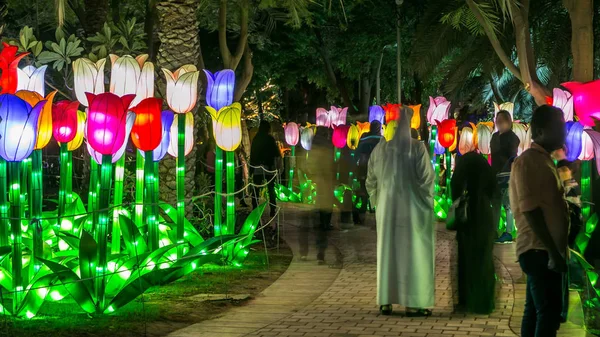 Caminho Com Tulipas Recém Inaugurado Dubai Glow Garden Dia Noite — Fotografia de Stock