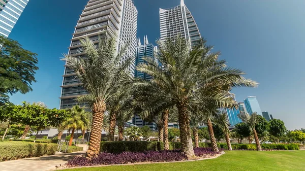 Timelapse Vista Sobre Arranha Céus Parque Com Palmas Edifícios Residenciais — Fotografia de Stock